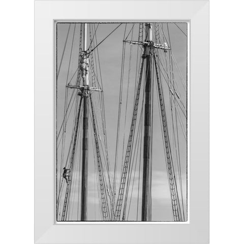 New England-Massachusetts-Cape Ann-Gloucester-Gloucester Schooner Festival-schooner masts White Modern Wood Framed Art Print by Bibikow, Walter