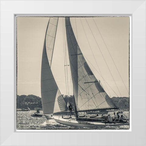 New England-Massachusetts-Cape Ann-Gloucester-Gloucester Schooner Festival-schooner parade of sail White Modern Wood Framed Art Print by Bibikow, Walter