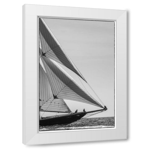 New England-Massachusetts-Cape Ann-Gloucester-Gloucester Schooner Festival-schooner parade of sail White Modern Wood Framed Art Print by Bibikow, Walter
