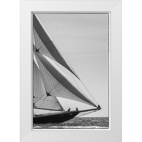 New England-Massachusetts-Cape Ann-Gloucester-Gloucester Schooner Festival-schooner parade of sail White Modern Wood Framed Art Print by Bibikow, Walter