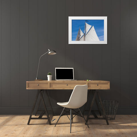 New England-Massachusetts-Cape Ann-Gloucester-Gloucester Schooner Festival-schooner sails White Modern Wood Framed Art Print by Bibikow, Walter