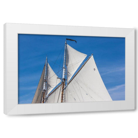 New England-Massachusetts-Cape Ann-Gloucester-Gloucester Schooner Festival-schooner sails White Modern Wood Framed Art Print by Bibikow, Walter