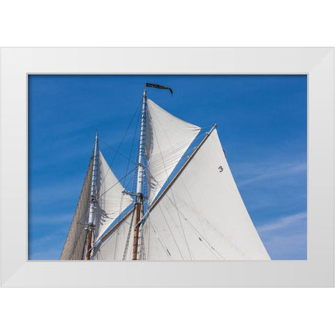 New England-Massachusetts-Cape Ann-Gloucester-Gloucester Schooner Festival-schooner sails White Modern Wood Framed Art Print by Bibikow, Walter