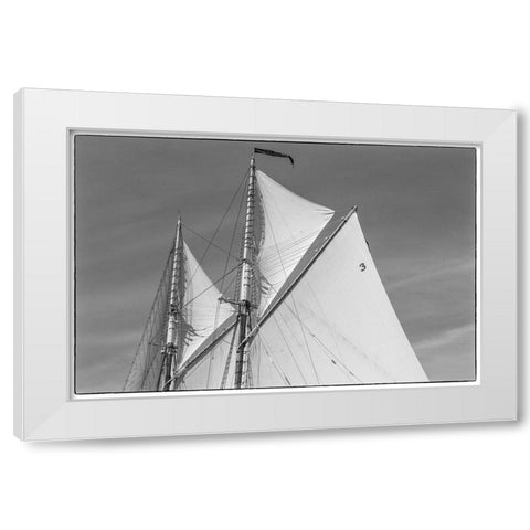 New England-Massachusetts-Cape Ann-Gloucester-Gloucester Schooner Festival-schooner sails White Modern Wood Framed Art Print by Bibikow, Walter