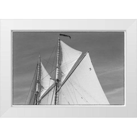 New England-Massachusetts-Cape Ann-Gloucester-Gloucester Schooner Festival-schooner sails White Modern Wood Framed Art Print by Bibikow, Walter