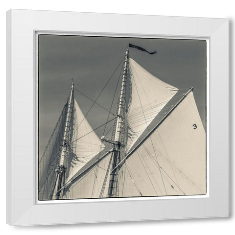 New England-Massachusetts-Cape Ann-Gloucester-Gloucester Schooner Festival-schooner sails White Modern Wood Framed Art Print by Bibikow, Walter