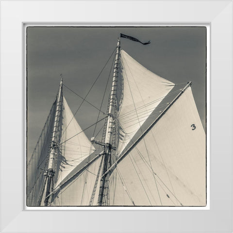 New England-Massachusetts-Cape Ann-Gloucester-Gloucester Schooner Festival-schooner sails White Modern Wood Framed Art Print by Bibikow, Walter