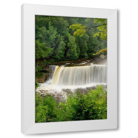 Upper Tahquamenon Falls-Tahquamenon Falls State Park-Upper Peninsula-Michigan White Modern Wood Framed Art Print by Majchrowicz, Alan