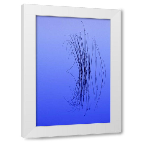 MI, Cluster of soft rushes reflects in a lake White Modern Wood Framed Art Print by Carlson, Mark