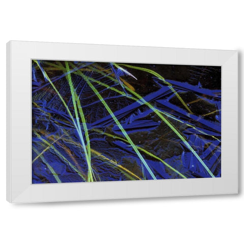 MI, Upper Peninsula, Sedge leaves under thin ice White Modern Wood Framed Art Print by Carlson, Mark