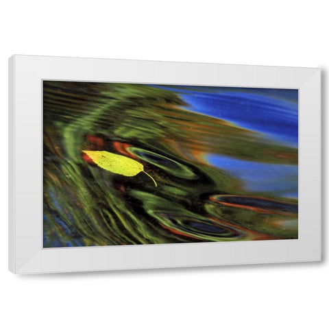 MI, Birch leaf in river with autumn reflections White Modern Wood Framed Art Print by Carlson, Mark
