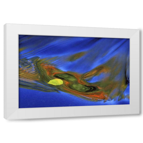MI, birch leaf in river current in autumn White Modern Wood Framed Art Print by Carlson, Mark