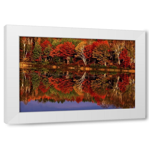 United States, MI, Fall reflects in Thornton Lake White Modern Wood Framed Art Print by Welling, Dave