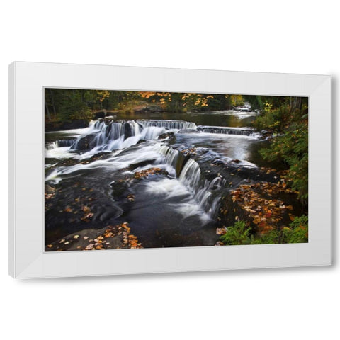Michigan Bond Falls and fall foliage White Modern Wood Framed Art Print by Rotenberg, Nancy