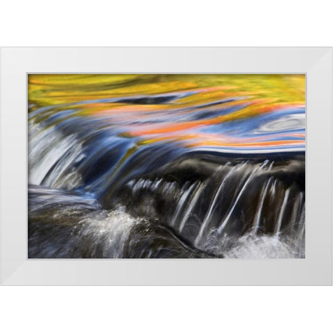 Michigan Fall reflections at Bond Falls White Modern Wood Framed Art Print by Rotenberg, Nancy