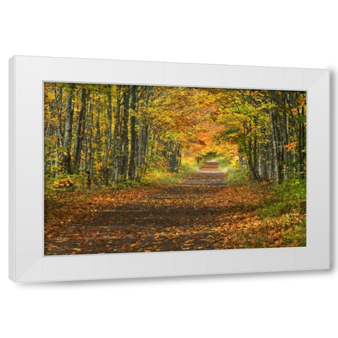Michigan Roadway into fall foliage White Modern Wood Framed Art Print by Rotenberg, Nancy