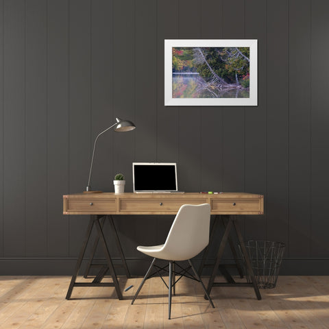 MI, Petes Lake reflects autumn foliage White Modern Wood Framed Art Print by Rotenberg, Nancy