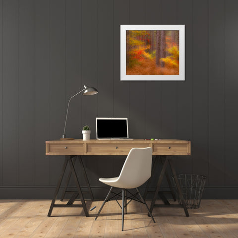 Michigan Soft focus of a forest in autumn color White Modern Wood Framed Art Print by Rotenberg, Nancy
