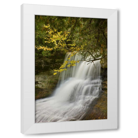 MI, Hiawatha NF Laughing Whitefish Falls in fall White Modern Wood Framed Art Print by Grall, Don