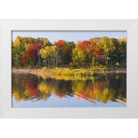 MI, Autumn in Bond Falls Recreation Area White Modern Wood Framed Art Print by Bush, Marie
