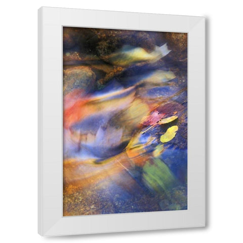 USA, Michigan Autumn leaves in stream White Modern Wood Framed Art Print by Rotenberg, Nancy