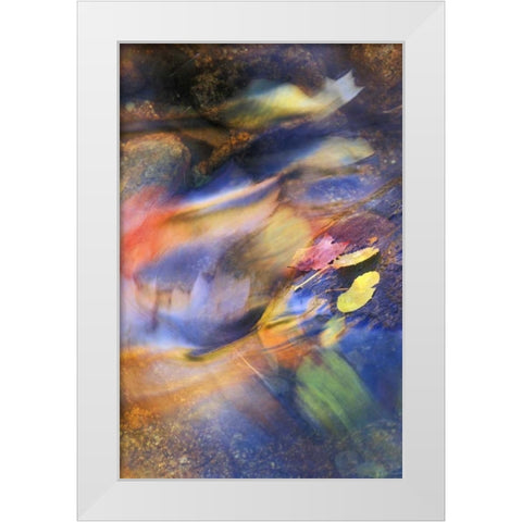 USA, Michigan Autumn leaves in stream White Modern Wood Framed Art Print by Rotenberg, Nancy