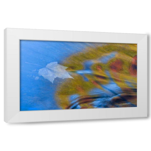 Michigan, Upper Peninsula Bond Falls reflections White Modern Wood Framed Art Print by Rotenberg, Nancy