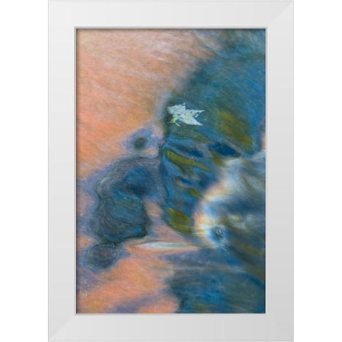 Michigan, Upper Peninsula Bond Falls reflections White Modern Wood Framed Art Print by Rotenberg, Nancy