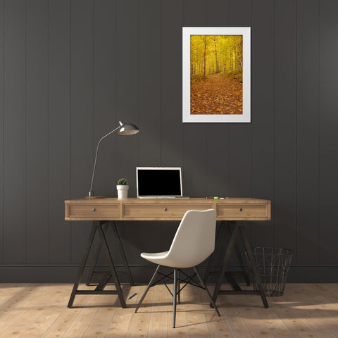 Michigan Fallen maple leaves on trail White Modern Wood Framed Art Print by Grall, Don