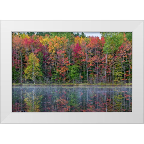 Thornton Lake in fall color-Alger County-Michigan White Modern Wood Framed Art Print by Day, Richard and Susan