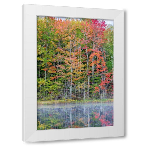 Thornton Lake in fall color-Alger County-Michigan White Modern Wood Framed Art Print by Day, Richard and Susan