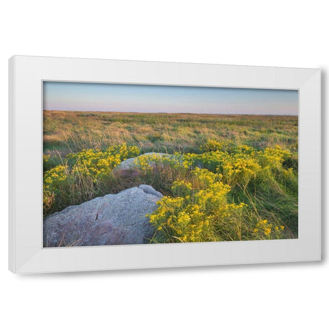 Touch the Sky Prairie southwest-Minnesota White Modern Wood Framed Art Print by Majchrowicz, Alan