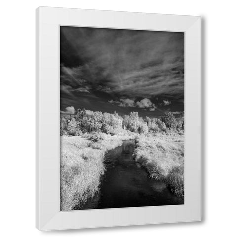 USA-Minnesota-Mississippi River Headwaters region-Mississippi River White Modern Wood Framed Art Print by Hawkins, Peter