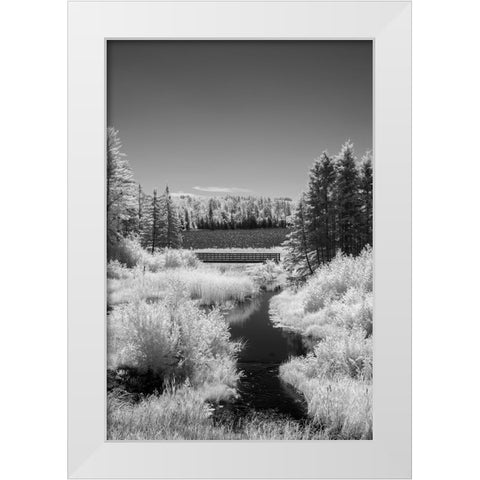 USA-Minnesota-La Salle State Recreation Area White Modern Wood Framed Art Print by Hawkins, Peter