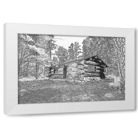 USA-Minnesota-Itasca State Park White Modern Wood Framed Art Print by Hawkins, Peter