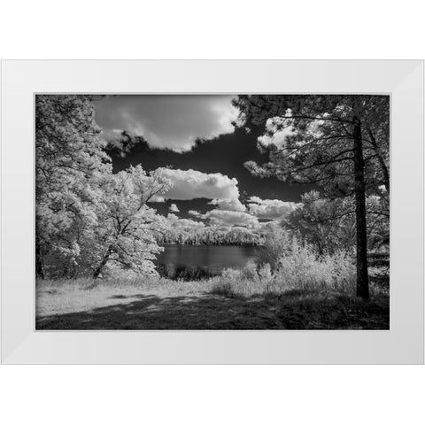 USA-Minnesota-La Salle State Recreation area White Modern Wood Framed Art Print by Hawkins, Peter