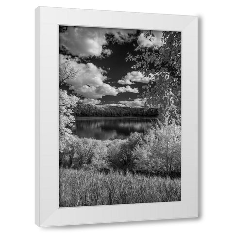 USA-Minnesota-La Salle State Recreation area White Modern Wood Framed Art Print by Hawkins, Peter