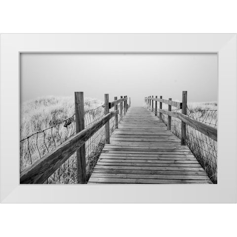 USA-Minnesota-Duluth-Park Point-Boardwalk over Dunes White Modern Wood Framed Art Print by Hawkins, Peter