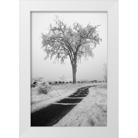USA-Minnesota-Duluth-Park Point-Boardwalk over Dunes White Modern Wood Framed Art Print by Hawkins, Peter