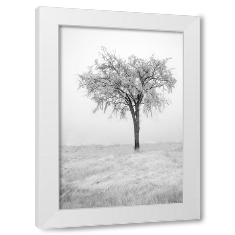 USA-Minnesota-Duluth-Park Point-Boardwalk over Dunes White Modern Wood Framed Art Print by Hawkins, Peter