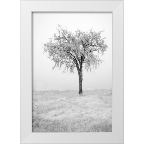USA-Minnesota-Duluth-Park Point-Boardwalk over Dunes White Modern Wood Framed Art Print by Hawkins, Peter