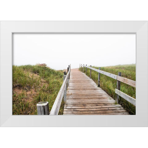 USA-Minnesota-Duluth-Park Point-Boardwalk over Dunes White Modern Wood Framed Art Print by Hawkins, Peter