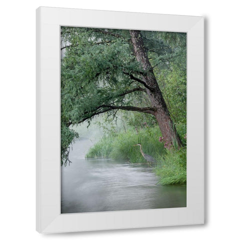 USA-Minnesota-Itasca State Park-Mississippi Headwaters White Modern Wood Framed Art Print by Hawkins, Peter