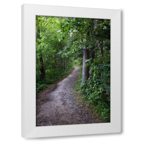 USA-Minnesota-La Salle State Recreation Area White Modern Wood Framed Art Print by Hawkins, Peter