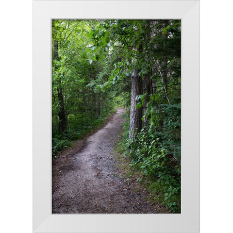 USA-Minnesota-La Salle State Recreation Area White Modern Wood Framed Art Print by Hawkins, Peter
