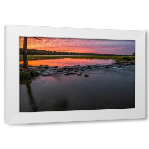 USA-Minnesota-Itasca State Park-Mississippi Headwaters White Modern Wood Framed Art Print by Hawkins, Peter