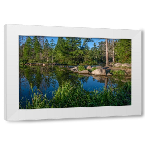 USA-Minnesota-Itasca State Park-Mississippi Headwaters White Modern Wood Framed Art Print by Hawkins, Peter