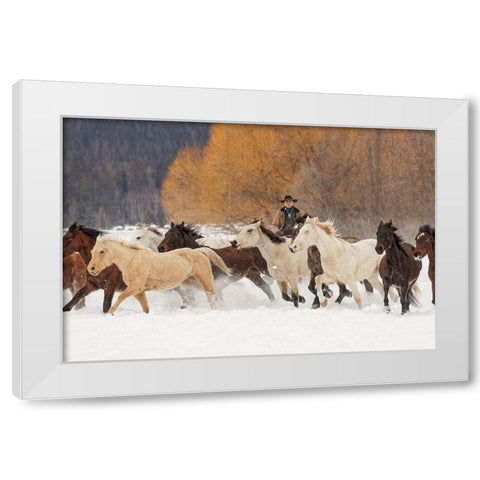 Cowboys during winter roundup-Kalispell-Montana White Modern Wood Framed Art Print by Jones, Adam
