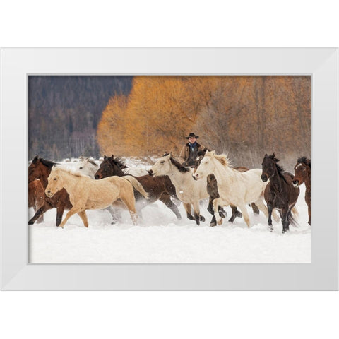 Cowboys during winter roundup-Kalispell-Montana White Modern Wood Framed Art Print by Jones, Adam