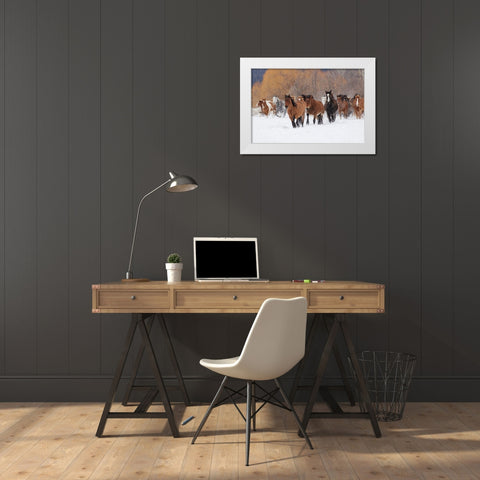 Rodeo horses running during winter roundup-Kalispell-Montana White Modern Wood Framed Art Print by Jones, Adam